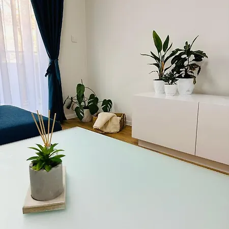 Daylight Apartment